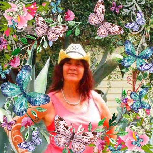 Meet your Posher, Holle - Picture 1 of 1